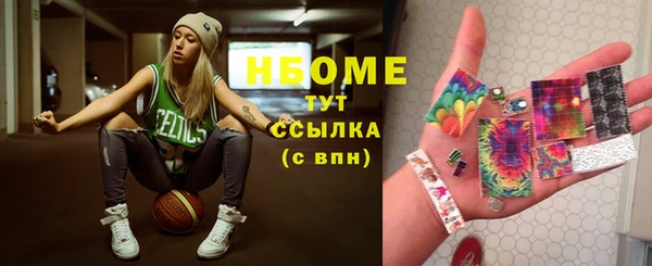 гидропоника Снежногорск