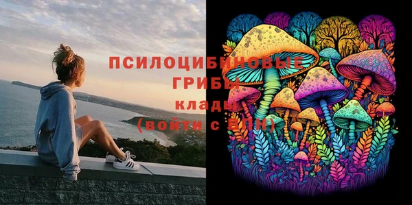 PSILOCYBIN Алексин