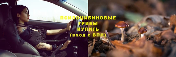 не бодяженный Алзамай