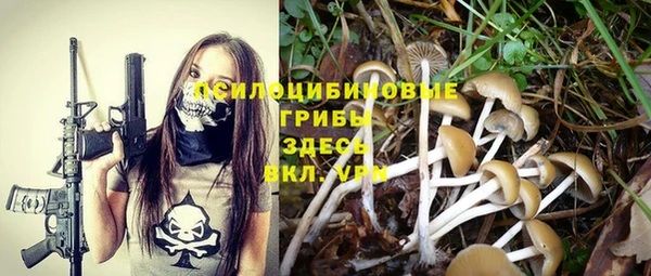 PSILOCYBIN Алексин