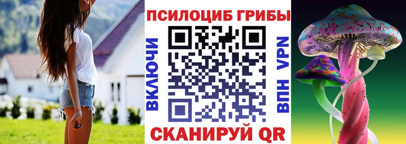 ссылка на мегу как войти  нарко площадка телеграм  Галлюциногенные грибы ЛСД  Буй 
